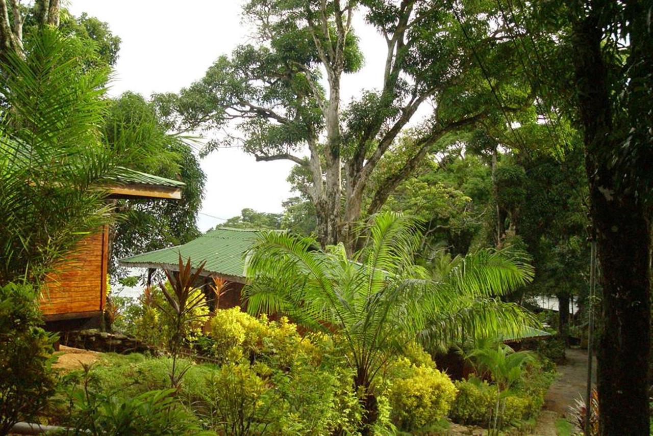 Cabinas La Parcela Villa Dominical Luaran gambar
